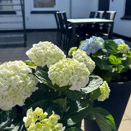 Apartment Stor Taet Pa Saltum *